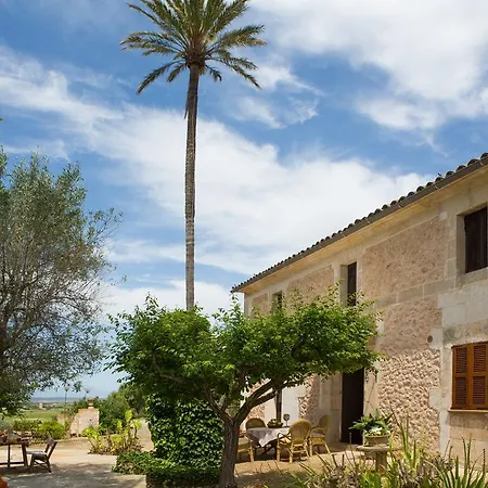 Es Pla De Llodrá * Manacor (Mallorca)