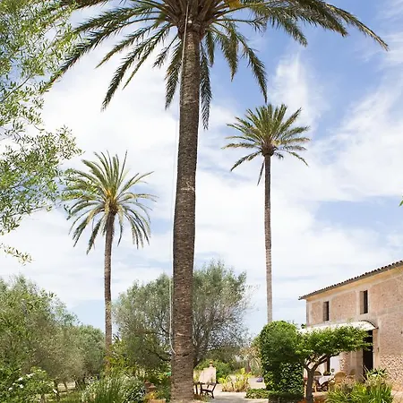 Es Pla De Llodrá * Manacor (Mallorca)