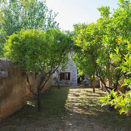 Es Pla De Llodrá Manacor (Mallorca)