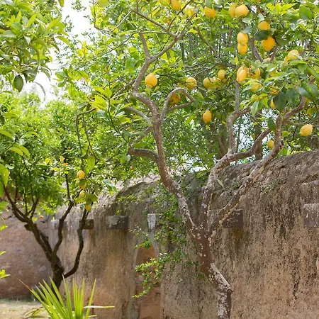 Es Pla De Llodrá Alojamento de Turismo Rural Manacor (Mallorca)